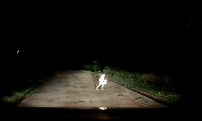 Video: Giật bắn người khi thấy bé trai chạy qua đầu ô tô trong đêm