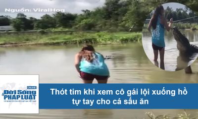 Clip: Thót tim khi xem cô gái lội xuống hồ cho cá sấu ăn