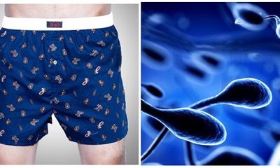 Cảnh báo đàn ông mặc quần lót tam giác làm giảm lượng tinh trùng