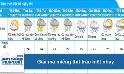 Dự báo thời tiết hôm nay 14/8: Hà Nội ngày nắng nóng 36 độ C, chiều tối có mưa