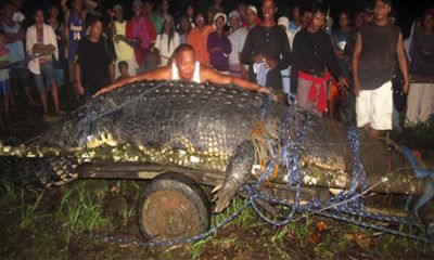 Video: Cận cảnh bắt con cá sấu lớn nhất thế giới ở Philippines nặng 1 tấn