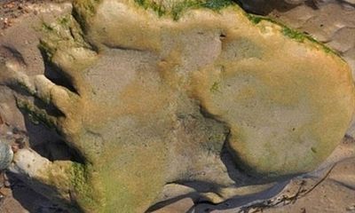 Phát hiện dấu chân khủng long khổng lồ ở Scotland