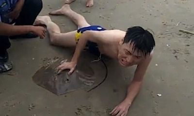 Video: Đi tắm biển, người đàn ông ở Trung Quốc bị cá đuối bám chặt 