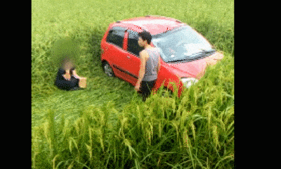 Video: Người phụ nữ lái xe ô tô san phẳng ruộng lúa 