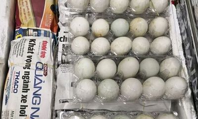 Cụ bà U70 bị phạt hơn 110 triệu vì mang trái phép 490 quả trứng vịt lộn vào Singapore