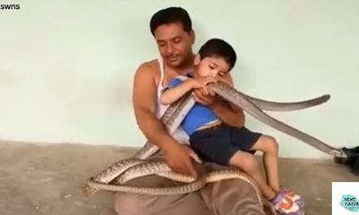 Video: Rùng mình xem cậu bé chơi đùa với 2 con rắn khổng lồ