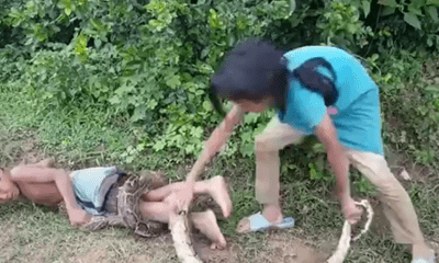 Video: Rùng mình cảnh chị gái dùng em trai làm mồi nhử bắt trăn 