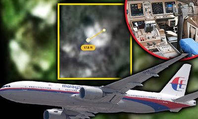 Tiết lộ bất ngờ về khu rừng nơi được cho là phát hiện buồng lái máy bay MH370