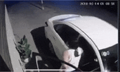 Video: Nửa đêm, người phụ nữ lái xế hộp đi trộm 2 chậu cảnh giá 500 nghìn đồng