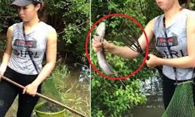 Video: Cô gái xinh đẹp lội ruộng, dùng lao xiên cá 