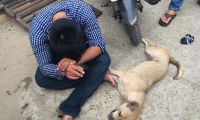 Tin tức pháp luật mới nhất ngày 23/10/2018: Trộm chó và người dân “hỗn chiến”, 5 người thương vong