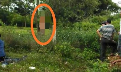 Đà Nẵng: Bàng hoàng phát hiện thi thể người đàn ông lõa thể treo cổ trong rừng