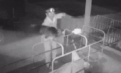  Video: Thanh niên rón rén lẻn vào trang trại trộm gà lúc nửa đêm