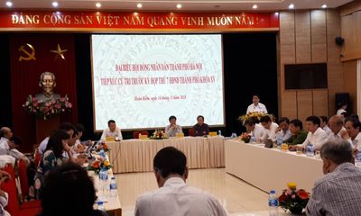 Lãnh đạo Hà Nội nhận trách nhiệm về các vi phạm đất đai tại huyện Ba Vì, Sóc Sơn