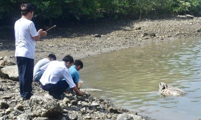 Phát hiện thi thể đang phân hủy trôi trên sông Cỏ May