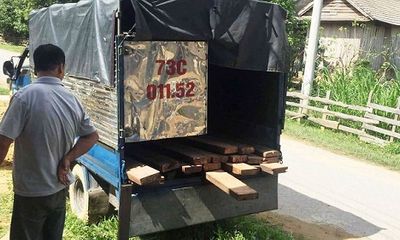 Quảng Bình: Truy bắt xe chở gỗ lậu, 3 kiểm lâm bị vây đánh, 1 người trúng đạn