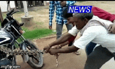 Video: Người đàn ông vật lộn lôi con trăn ra khỏi xe máy