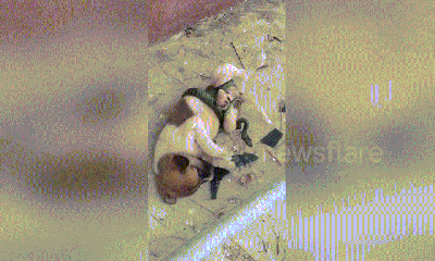 Video: Chó 2 tháng tuổi rên rỉ vì bị rắn quấn chặt người