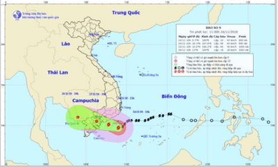 Tâm bão số 9 cách đảo Phú Quý 100km, giật trên cấp 12