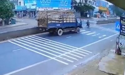 Video: Cụ ông liều lĩnh sang đường khiến xe tải chở gỗ lật nhào kinh hoàng