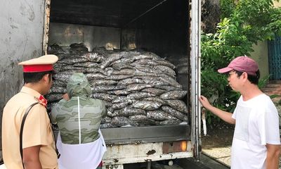Xe tải chở 3,5 tấn cá bốc mùi hôi thối, rỉ đầy nước ra đường