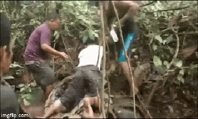 Video: Khiếp vía cảnh 6 người bắt trăn khổng lồ dài 8m, nặng 100kg 