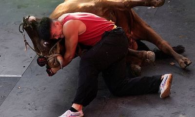 Thót tim chứng kiến võ sỹ Trung Quốc hạ gục con bò nặng 400kg