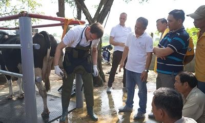 Nông dân Việt Nam và nông dân Hà Lan giao lưu, tập huấn kỹ thuật chăn nuôi bò sữa