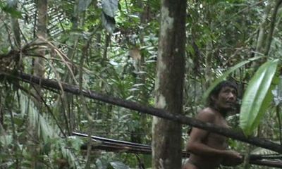 Bộ lạc nguyên thuỷ ở rừng rậm Amazon có nguy cơ biến mất vĩnh viễn vì người hiện đại