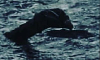 Nhà sử gia Anh tung bằng chứng chứng minh quái vật Loch Ness tồn tại