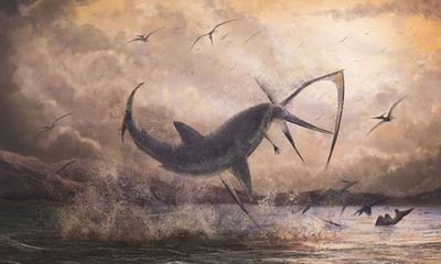 Phát hiện hóa thạch tuyệt đẹp của cá mập bay thời tiền sử