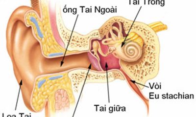 Lương y Bùi Văn Luận chia sẻ về sự nguy hiểm của bệnh viêm tai giữa