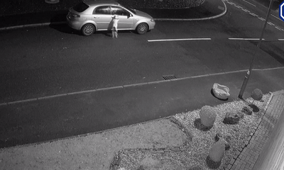 Video: Cảm động cảnh chú chó bị bỏ rơi vẫn cố gắng chạy theo xe của chủ 