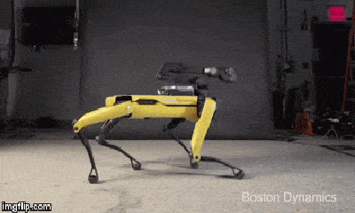 Video: Kinh ngạc chú chó robot nhảy theo nhạc bắt chước Micheal Jackson