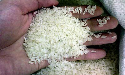 Hạt gạo Việt đã tự tin xuất hiện tại 150 quốc gia và vùng lãnh thổ