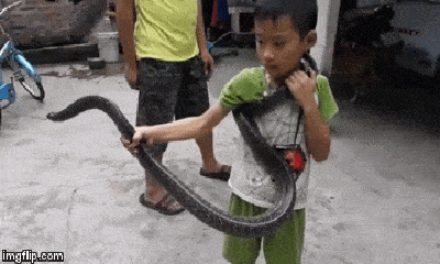 Video: Lạnh người xem cậu bé ở Quảng Ninh lên báo Anh vì tay không bắt rắn 2 mét