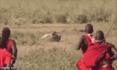 Video: Những thổ dân châu Phi khiến sư tử cong đuôi bỏ chạy bằng công cụ đơn sơ khó ngờ