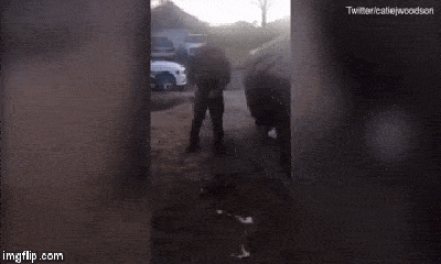 Mỹ: Phó cảnh sát trưởng thẳng tay bắn hạ chó của thường dân ngay trong sân nhà