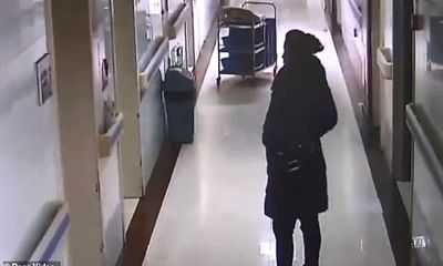 Không sinh được con, người phụ nữ lẻn vào bệnh viện đánh cắp trẻ sơ sinh