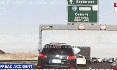 Video: Thần chết “ngủ quên” trên cao tốc Australia