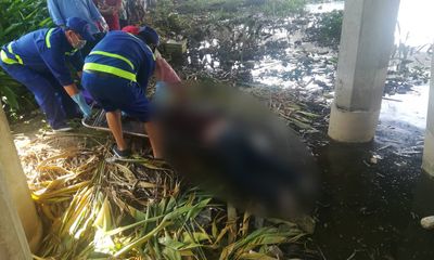 Cần thủ tá hỏa vứt câu bỏ chạy khi phát hiện thi thể cô gái nổi trên sông Sài Gòn