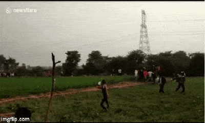 Video: Báo hoang ẩn mình trong đồng lúa, bất ngờ lao ra vồ liên tiếp 3 người ở Ấn Độ