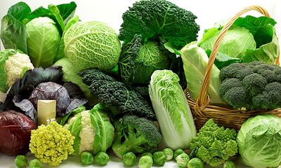 Vì sao ăn rau xanh tốt cho tiêu hóa