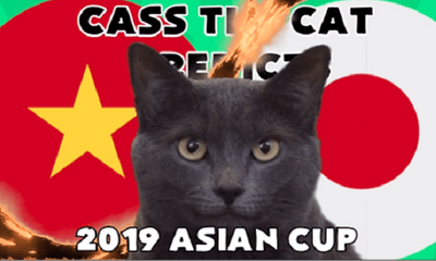 Tứ kết Việt Nam - Nhật Bản: Bất ngờ trước dự đoán đội chiến thắng của chú mèo tiên tri Cass