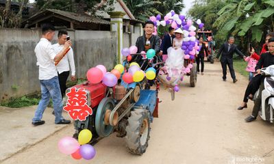 Video: Lạ lẫm màn rước dâu dùng máy cày kéo xe bò ở Nghệ An