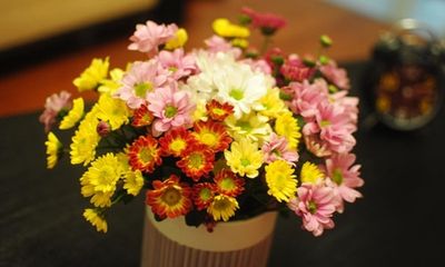 Những loài hoa đẹp và ý nghĩa không phải ai cũng biết trong ngày Tết