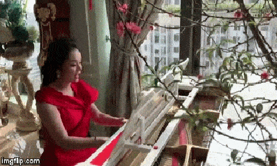 Video: Tân Nhàn bất ngờ hát hit Mỹ Tâm, khoe mai đào ngập nhà đón Tết