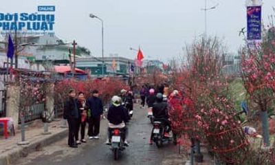 Công an quận Tây Hồ: Đảm bảo an ninh trât tự chợ hoa Quảng An ngày giáp Tết 
