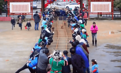 Kỳ lạ cuộc đua lợn đầu năm mới ở Trung Quốc