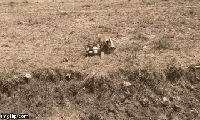Video: Sư tử phi thân thần tốc giết chết linh dương Gazelle rồi tha đi ăn thịt